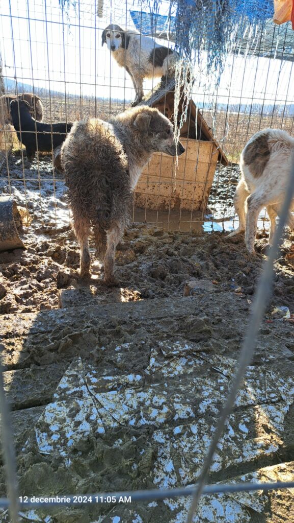 1000082397 - Jurnalul Olteniei – Știri din Craiova și Oltenia