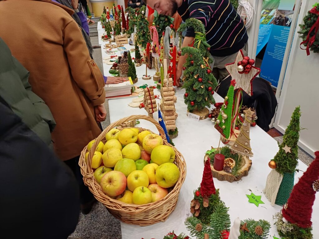 expo ucv - Jurnalul Olteniei – Știri din Craiova și Oltenia