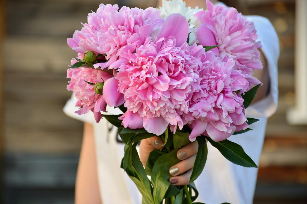 Foto: pixabay