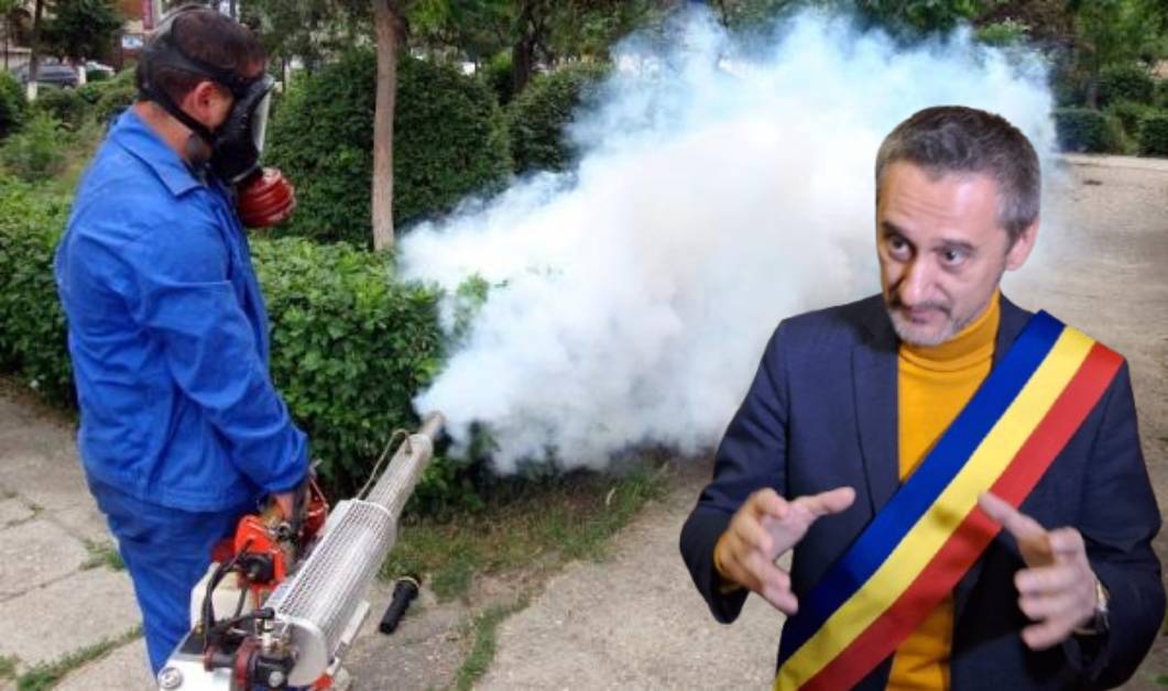 Slatina: Primarul De Mezzo a retras proiectul de majorare a tarifelor pentru dezinsecție și deratizare!