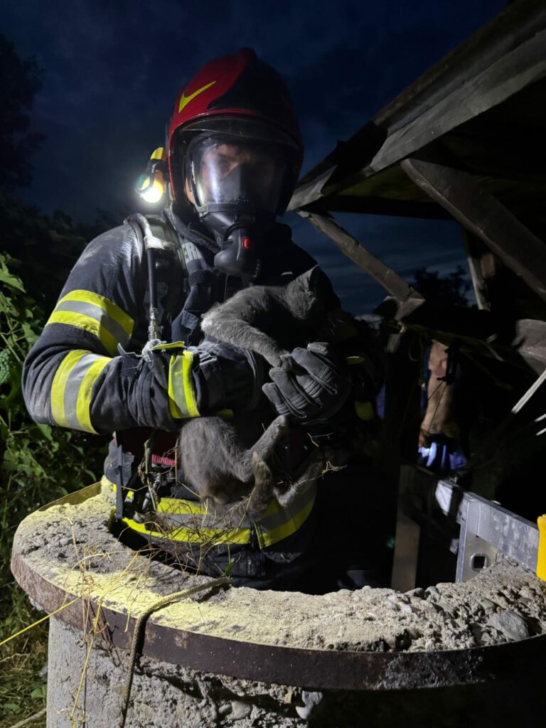 1000135152 - Jurnalul Olteniei – Știri din Craiova și Oltenia