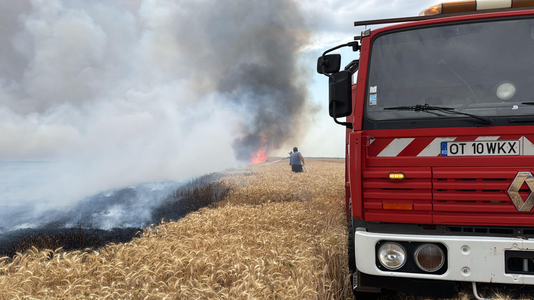 Incendiu devastator în Olt, provocat de un stâlp de electricitate căzut: terenuri agricole în pericol!
